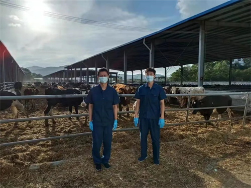 fc69a1c6afc1d84cf00731ee58e5c52e.jpg 7.jpg