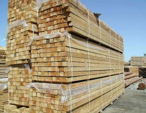 164b9bf044276b0b5ec17ae8664245e5.jpg 微信圖片_20221129093310.jpg