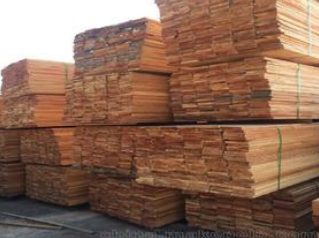 【進口案例】巴西桉木蛇口港進口報關清關 【進口案例】巴西桉木蛇口港進口報關清關