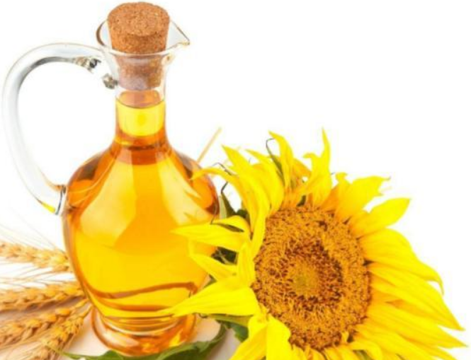 54a2258e5d4489477524df328a6f2843.png 54a2258e5d4489477524df328a6f2843.png