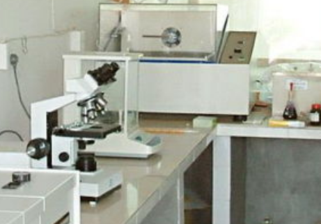 eb3fd23f5e4cd21de7bd93cca0d7ef62.png 科研設備.png