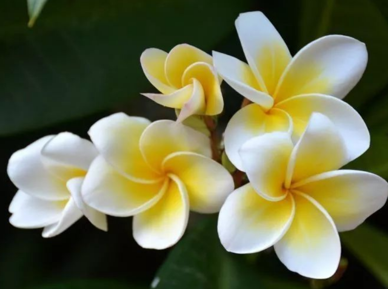 0d2144bb972d7d09367ca8def3e54863.png 0d2144bb972d7d09367ca8def3e54863.png