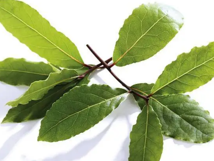 91e37ca0efa51de23ab646809ed65310.png 91e37ca0efa51de23ab646809ed65310.png