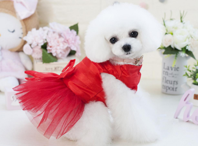 9e95fad0d6a091e9ee85ed161e90ab5a.png 寵物洗護用品.png