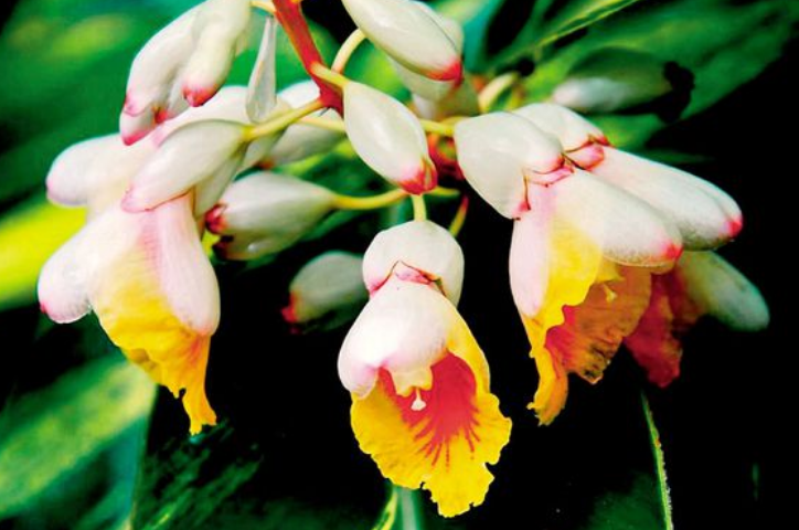 bcfad76155d6a7370bdb699dca97f548.png bcfad76155d6a7370bdb699dca97f548.png