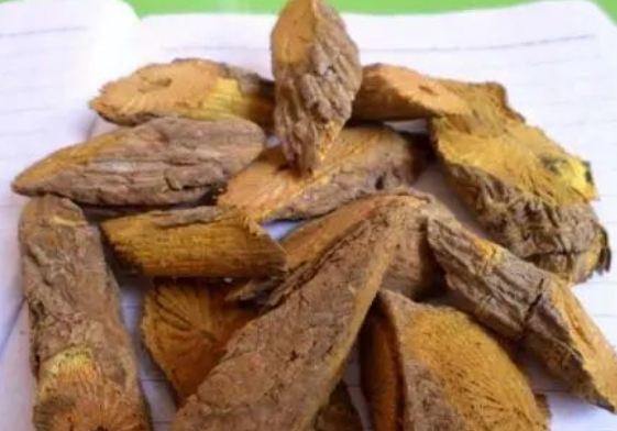 4c06e806be44a4a9743788307bd97dfb.png 黃藤.png