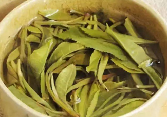 85e38255cfca84fdd640a639573b2570.png 茶葉.png