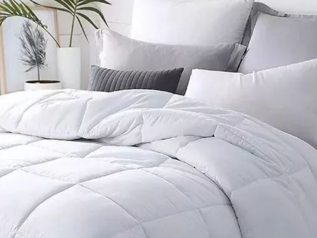 b08dde5961d7b0c09d8f600183e64cb6.png 羽絲絨被.png