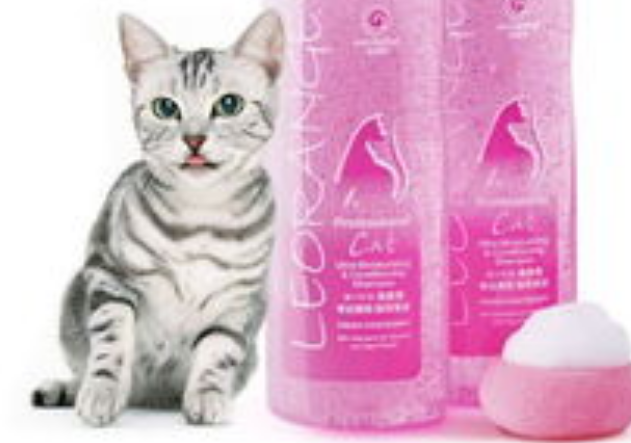 d9c3394dc44beca09ead68ec9b559376.png 寵物沐浴露.png