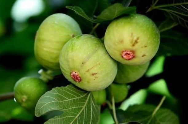 bc939aed1b970141de86542e3c11db57.png bc939aed1b970141de86542e3c11db57.png