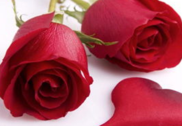 03180ad9e4a3239c16bada41239dfa08.png 03180ad9e4a3239c16bada41239dfa08.png