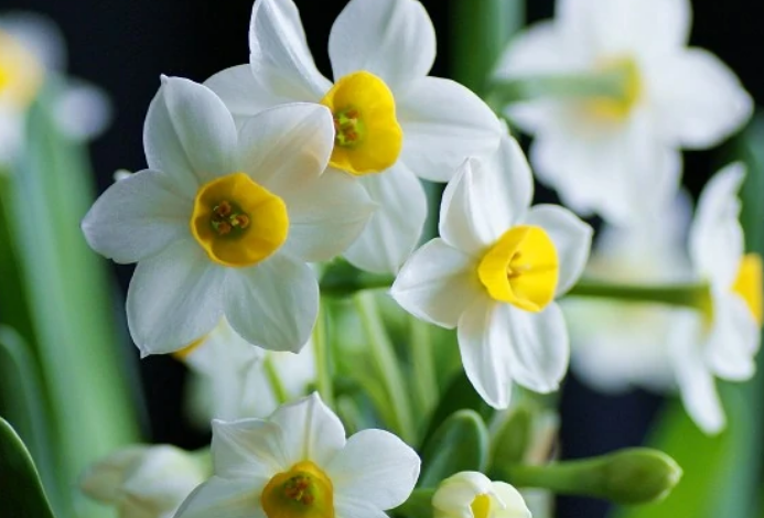 0821ecb01ed6e763317093e5df00cf38.png 0821ecb01ed6e763317093e5df00cf38.png