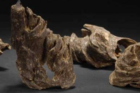 80d64513ab4f7012e151e35e178cd41e.png 微信截圖_20230423171700.png