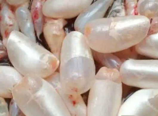 4962421b9e9ee87c4aac34434374389d.png 魚鰾.png