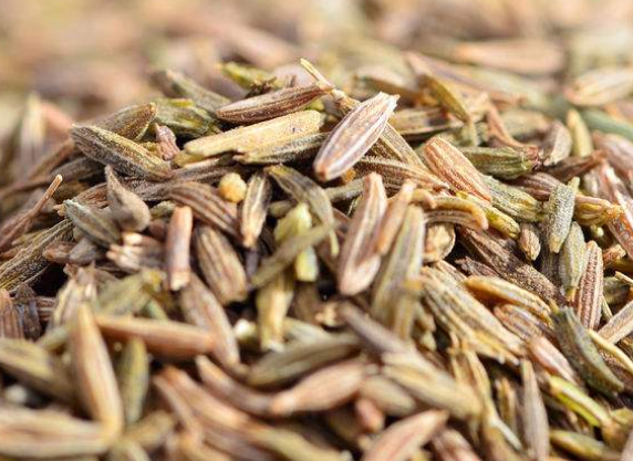 ba0e3b77c7199421b6087a14c7abc192.png 棉籽殼.png