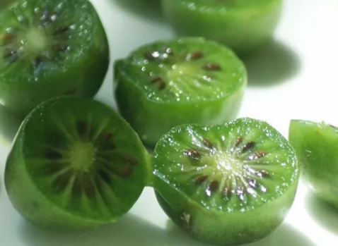 c4e9c56cb0689d8902031eeff7a00c18.png 奇異莓.png