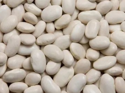 印度白蕓豆提取物滘心港碼頭進口報關清關 印度白蕓豆提取物滘心港碼頭進口報關清關