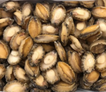 【食品進(jìn)口】海參、鮑魚等海味干貨報(bào)關(guān)指南 【食品進(jìn)口】海參、鮑魚等海味干貨報(bào)關(guān)指南