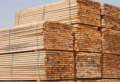 6fbb9796fae5880613a22b21e9b50dcc.png 木材進口.png