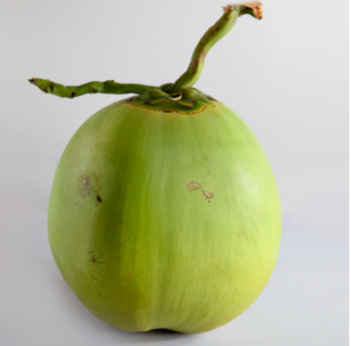 fb164d463feb0aed06b8b0fa6964b44f.png 椰青進口.png