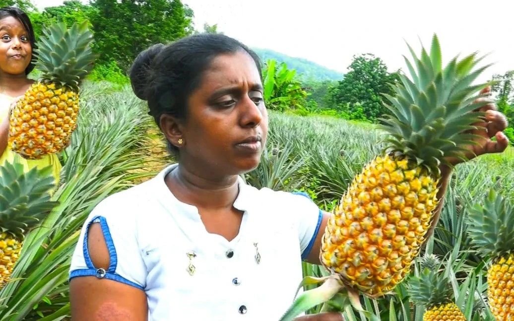 7a0f2f89e70b81bd97ce60848cd7327f.jpg 菠蘿.jpg