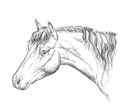 58e93639a2b060dbbe92b543e17fcb84.png 手繪畫(huà).png