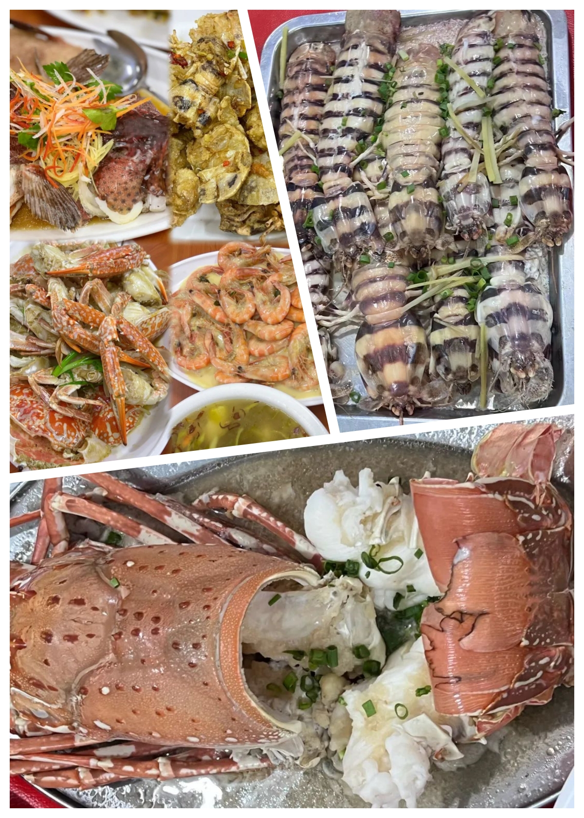 6567e37526a450d865f21395a69bb73b.jpg 圖 (2).jpg