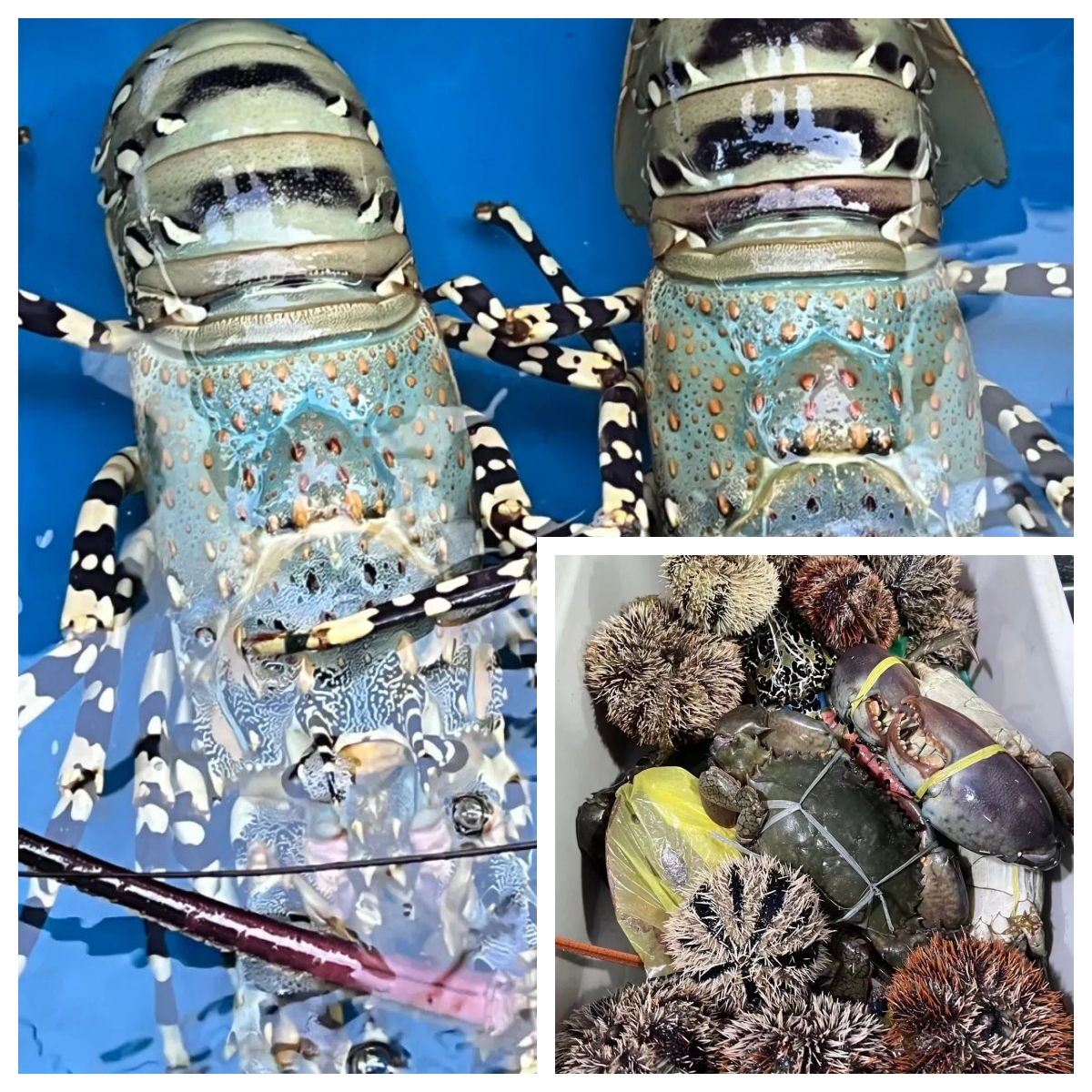 f7f1876737fe570c244a4e41b67f6e1c.jpg 圖8.jpg