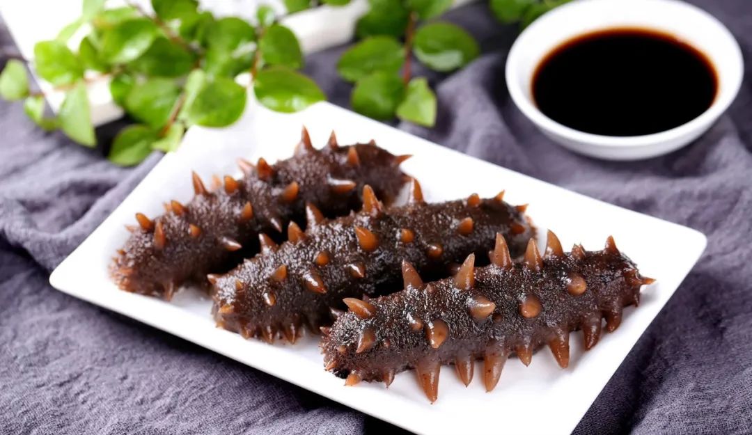 f8131891c445f7b0ad4aa16e305d0add.jpg 海參.jpg