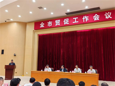 鵬通董事長參加東莞市2025年貿促工作會議和外貿企業代表座談會 鵬通董事長參加東莞市2025年貿促工作會議和外貿企業代表座談會