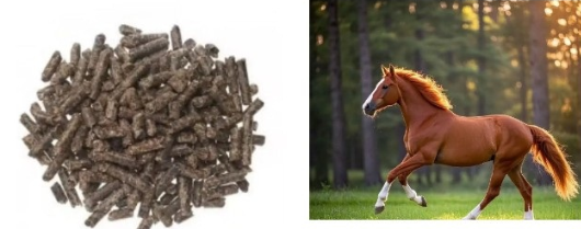 政策解讀-海關總署關于進口丹麥馬飼料檢疫和衛生要求的公告 政策解讀-海關總署關于進口丹麥馬飼料檢疫和衛生要求的公告