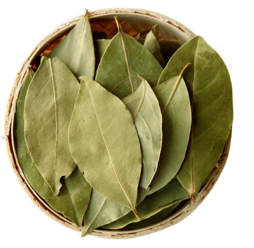 c590b3c5558d922d04e4ffd005f35a5b.jpg 香葉.jpg