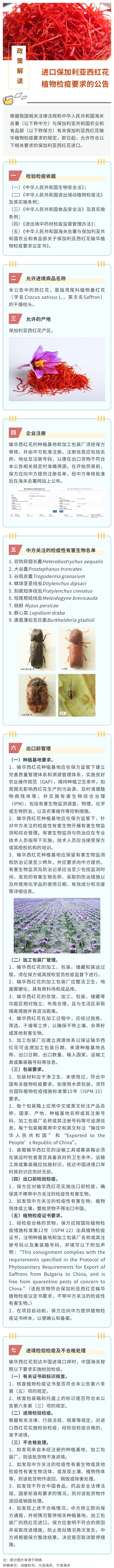 0f732f73abb438b87784d07fd455e2f5.jpg 西紅花.jpg