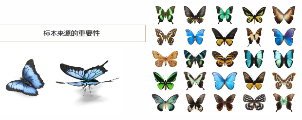 cd6cd8b537cbc3837070e3779397bfe3.png 蝴蝶.png