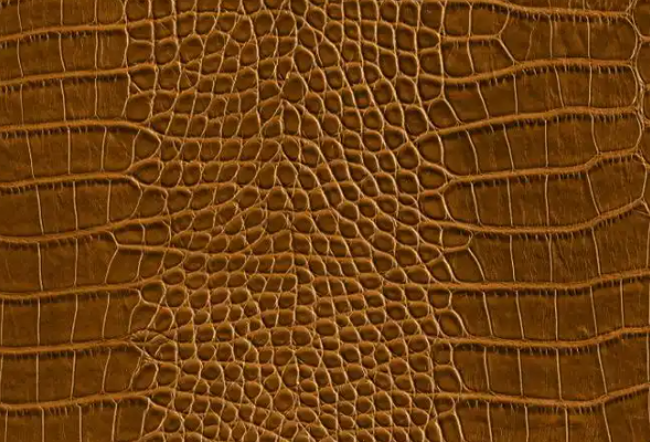 【進口知識】鱷魚皮進口清關需要注意什么？