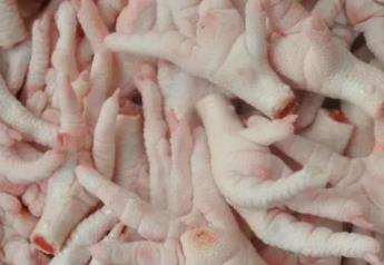 泰國冷凍雞爪進口