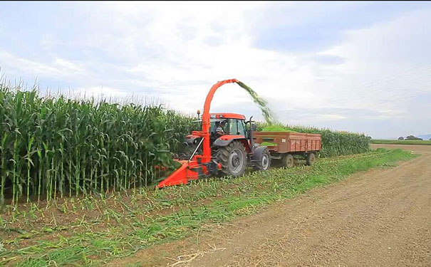 5舊青儲機d 5舊青儲機d