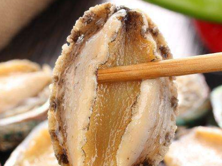 冷凍鮑魚佛山通關代理,鮑魚通關代理,冷凍鮑魚佛山通關