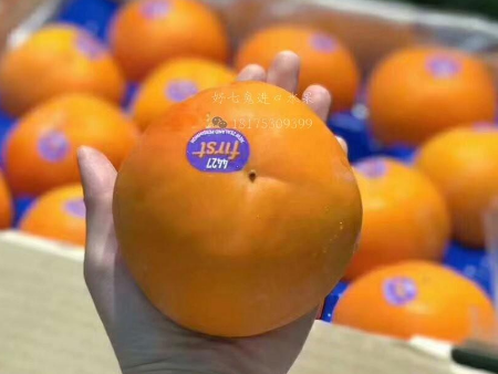 柿子空運進口報關,柿子進口報關,柿子進口報關資料