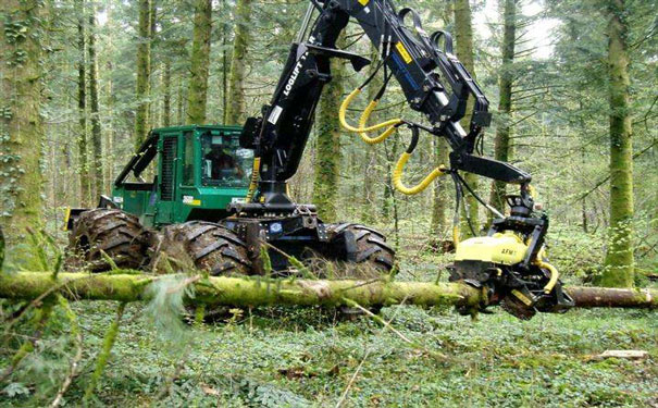 1二手伐木機d 1二手伐木機d