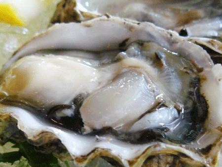 生蠔進口報關,廣州清關代理公司,生蠔進口報關流程