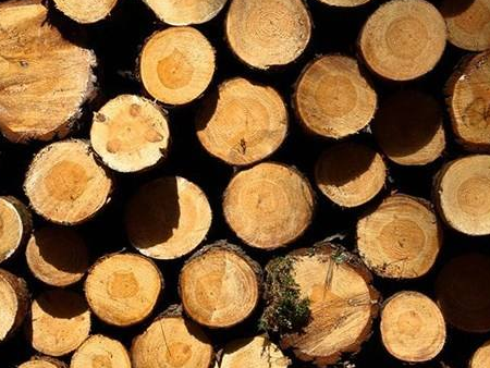 微信截圖_20200720114858