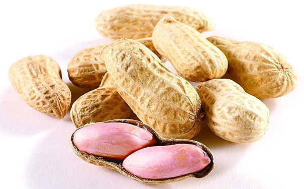 花生進口 花生進口