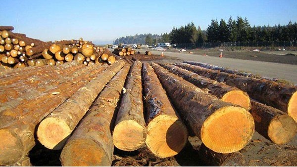 木材進口報關報檢