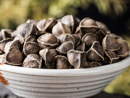 辣木籽深圳進(jìn)口報關(guān)公司,辣木籽報關(guān)公司,辣木籽深圳報關(guān)