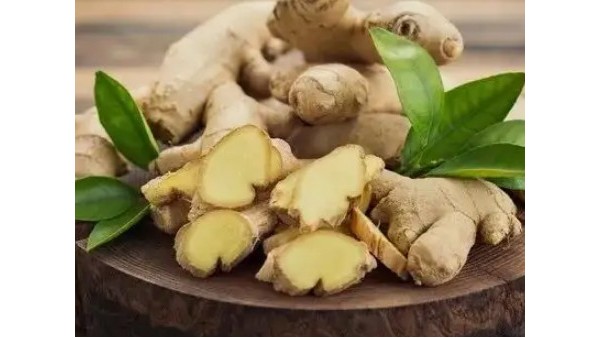 生姜進(jìn)口鹽田港報(bào)關(guān)行告訴你商檢資料 生姜進(jìn)口鹽田港報(bào)關(guān)行告訴你商檢資料