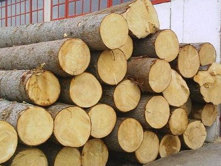 進口原木報關,進口原木報關代理,進口原木報關代理公司