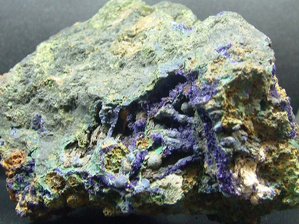 農業產品進口代理