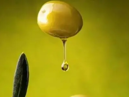 橄欖油進口皇崗口岸報關(guān),橄欖油進口報關(guān),橄欖油皇崗報關(guān)