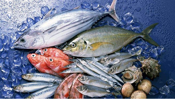 東莞水產(chǎn)品進(jìn)口報(bào)關(guān)代理